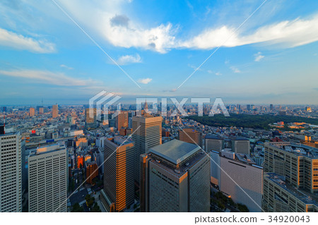 Cityscape of Shinjuku Subcenter Cityscape of Shinjuku Subcenter 34920043