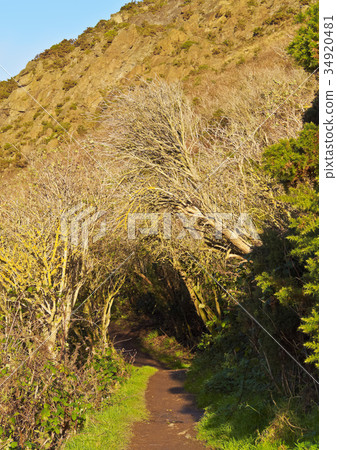 Holyrood Park in Edinburgh Holyrood Park in Edinburgh 34920481