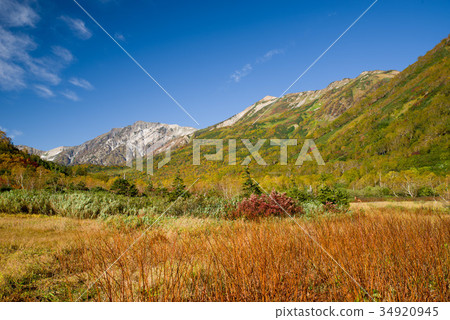 Autumn leaves and Shirakumadake of Tsugaike nature garden 34920945