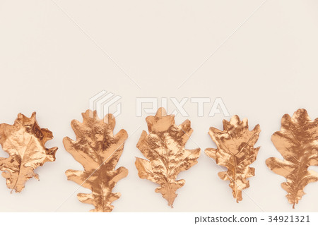 Fall gold colored leaves flatlay 34921321
