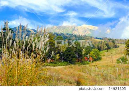 Susuki和Ontakiyama 34921805