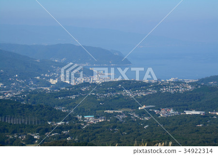 從山頂的伊東市 34922314