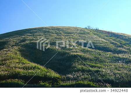 靜岡縣伊東市 34922448