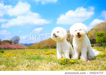 It's refreshing~♪ It's refreshing~♪ 34924737