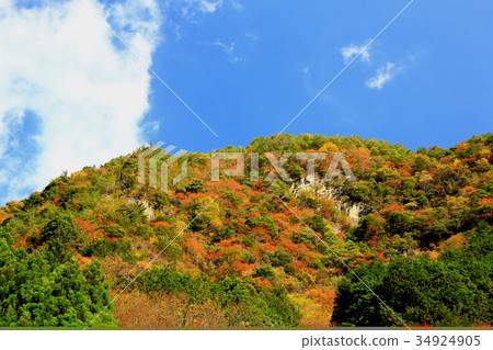 Kaoru incense autumn leaves 34924905