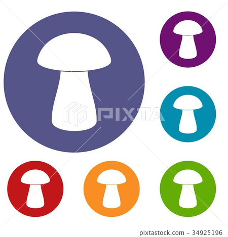 Fungus boletus icons set 34925196
