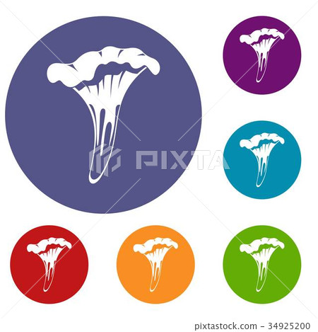 Chanterelle icons set Chanterelle icons set 34925200