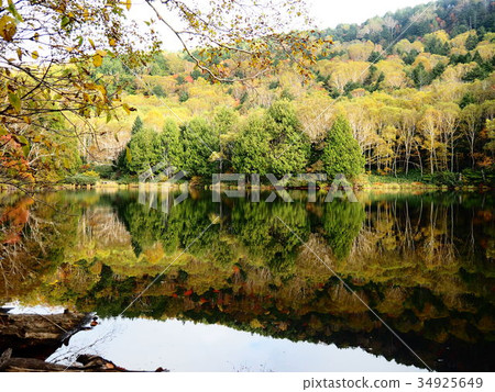 Autumn leaves reflected on the lake surface 34925649