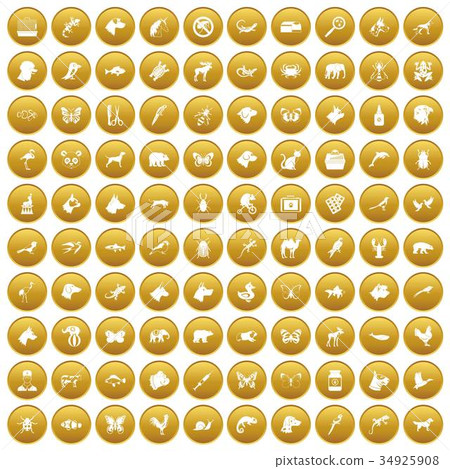 100 animals icons set gold 100 animals icons set gold 34925908