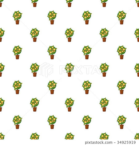 Money tree pattern - Stock Illustration [34925919] - PIXTA