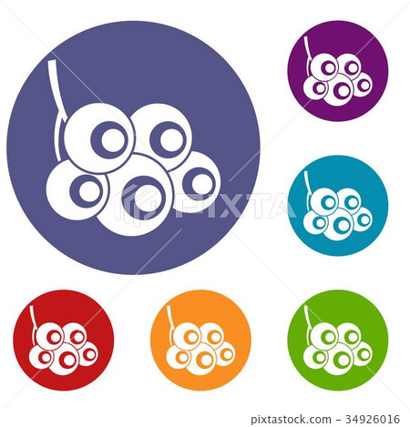 Viburnum branch icons set 34926016