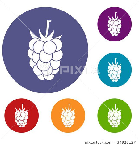 Blackberry fruit icons set Blackberry fruit icons set 34926127