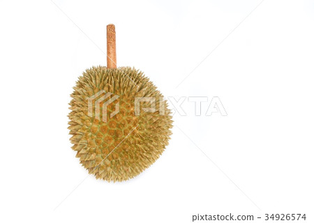 durian with shell fruit on white background durian with shell fruit on white background 34926574