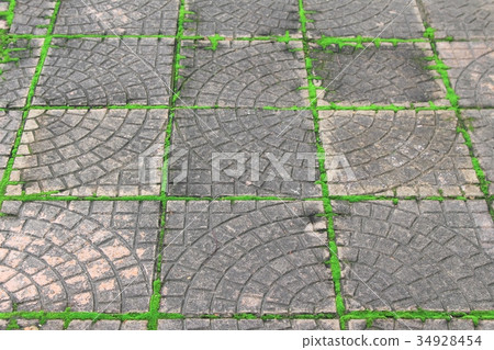 Stone walkway with green moss Stone walkway with green moss 34928454