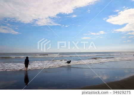 A woman with a dog and a ball on the shore of Shonan A woman with a dog and a ball on the shore of Shonan 34929275