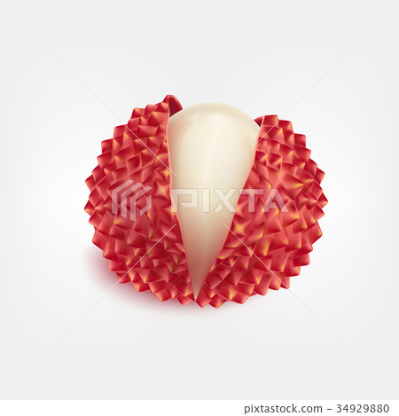 Ripe fresh litchi fruits realistic isolated vector Ripe fresh litchi fruits realistic isolated vector 34929880