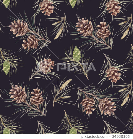 Watercolor fir cone vector pattern 34930305