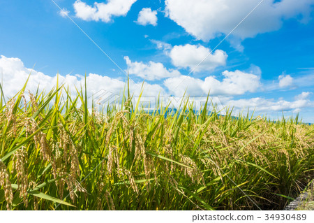 米領域藍天雲彩 34930489