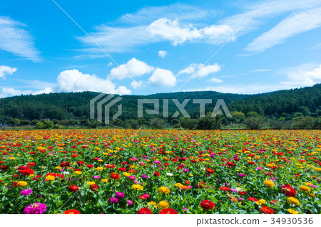 Chinese blue sky Chinese blue sky 34930536