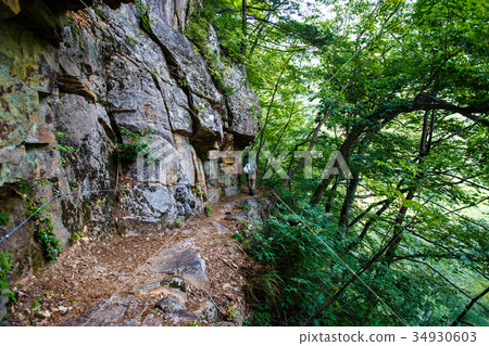 水平的小徑黑部峽谷 34930603