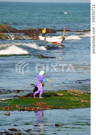 海帶釣魚早晨 34930713