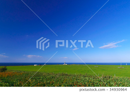 Notori Tori燈塔 Notori Tori燈塔 34930964