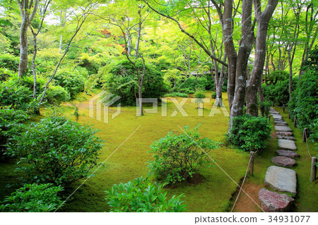 Mt. Ogurayama Ogawachi Sanso Garden Mt. Ogurayama Ogawachi Sanso Garden 34931077