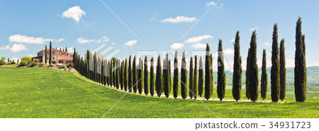 Classic View of Tuscan Farmhouse 34931723