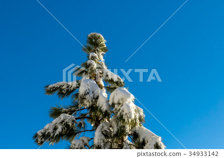 Blue Sky, Climate Change winter at California 34933142
