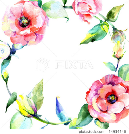 Wildflower eustoma flower frame in a watercolor - Stock Illustration ...