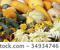Image of autumn 34934746