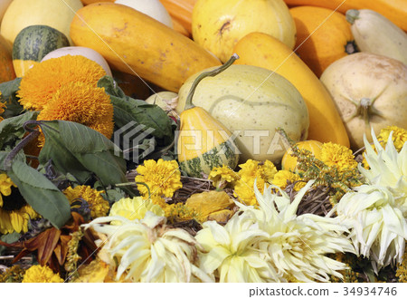Image of autumn 34934746