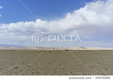 Gobi Desert, Mongolia 34934900