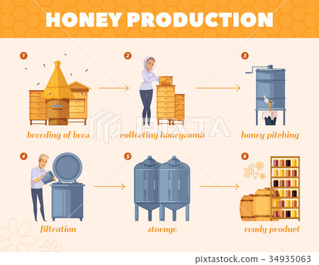 Honey Production Process Cartoon Flowchart - Stock Illustration ...