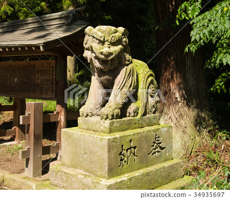 那須神社Shiba Inu 那須神社Shiba Inu 34935697