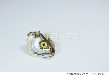 mackerel head on white background mackerel head on white background 34935928