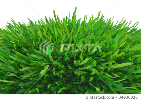 Grass Piece