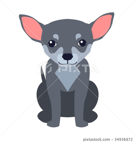 Cute Chihuahua Dog Cartoon Flat Vector Icon Cute Chihuahua Dog Cartoon Flat Vector Icon 34936872