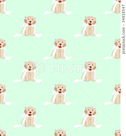 Golden Retriever Dog Bride on Green Mint Golden Retriever Dog Bride on Green Mint 34938547