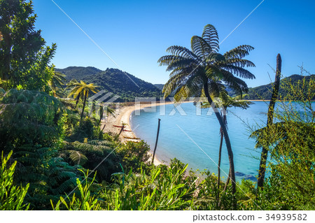 Abel Tasman National Park, New Zealand Abel Tasman National Park, New Zealand 34939582