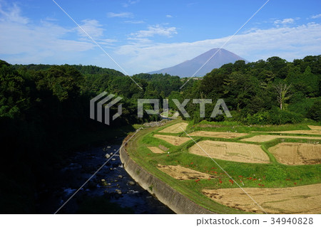 Rice terraces of Mt. Fuji 1790 Takenoshita in September 34940828