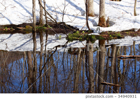 Swamp of early spring 34940931