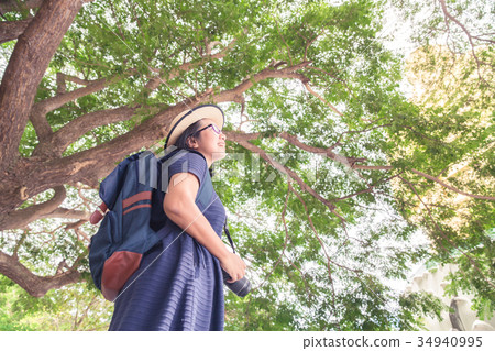 Asian tourist woman enjoy taking photo under tree Asian tourist woman enjoy taking photo under tree 34940995