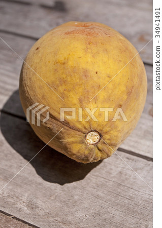 Santol Santol 34941491
