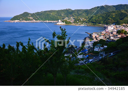 Izu Taga JR 251 Series Super Express Odoriko May 2017 (Atami-shi, Higashiga, Shizuoka Prefecture) 34942185