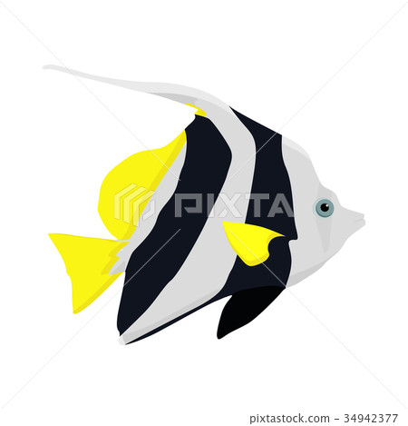 Tropical fish. Black and yellow fish 34942377