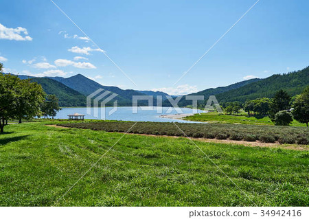 Minami Furano-cho Lake Kanayama Minami Furano-cho Lake Kanayama 34942416