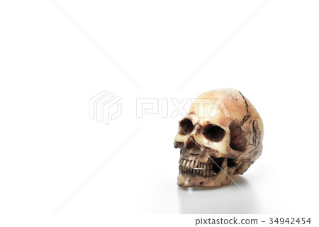 Cracked Skeleton head or skull on white background Cracked Skeleton head or skull on white background 34942454