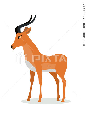 Antelope Impala Cartoon Icon in Flat Design Antelope Impala Cartoon Icon in Flat Design 34944557