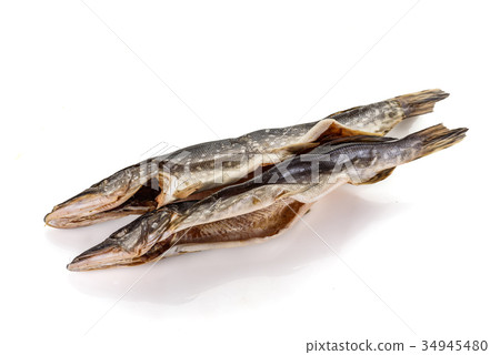Pike isolated on white background Pike isolated on white background 34945480